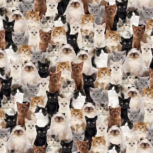 Beige Here Kitty Digital Cuddle 58/60" Fabric Per Yard - Image 2