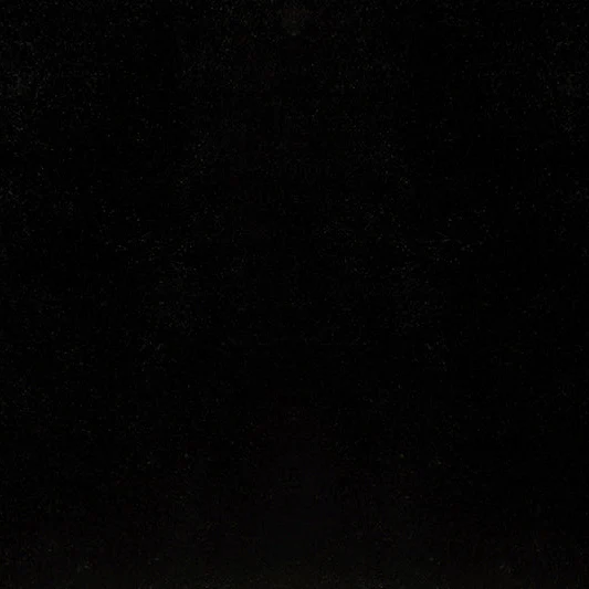 Caviar" Luxe Cuddle Seal 58/60" Fabric Per Yard - Image 3